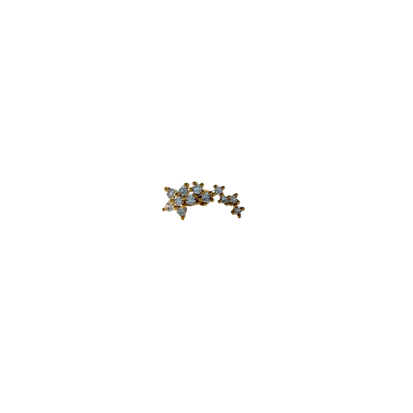 Ara Piercing