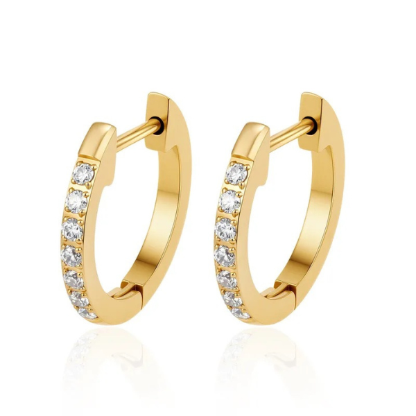 Arianna Hoops